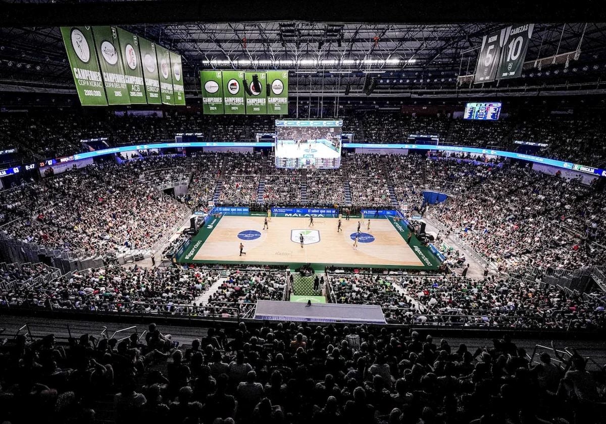 The view inside the Martín Carpena area during a game this year.